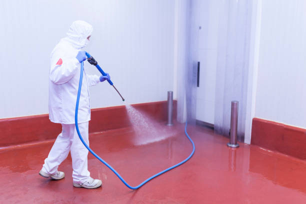 Trusted Grandview Heights, OH Pressure Washing Services Experts
